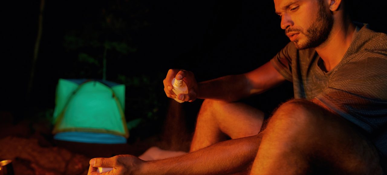 Choroby przenoszone przez owady