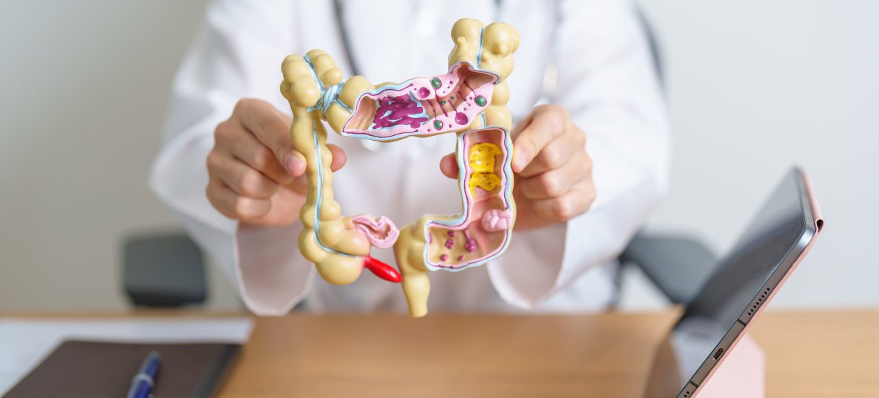 Dlaczego warto dbać o bakterie jelitowe