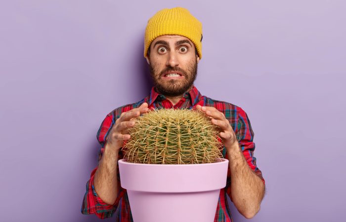 choroba hemoroidalna, hemoroidy, hemorrhoids